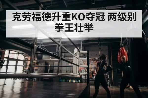 boxer training